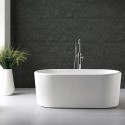 Freestanding Bathtub Traditional