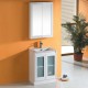 Sammy Vanity 600mm Glass door