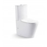 EXON Wall Faced Tornado Flush Toilet Suite