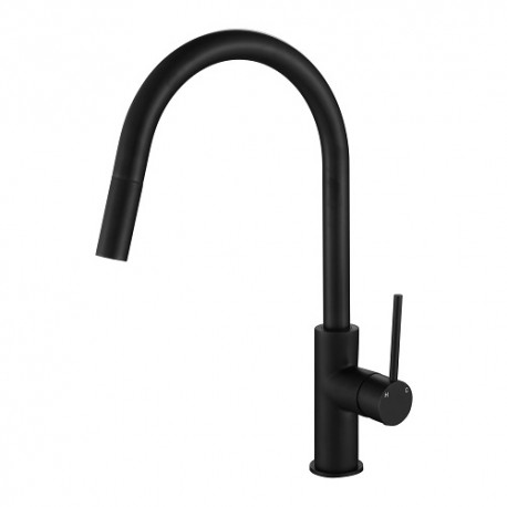 Black Pull-out Kitchen/Laundry Mixer